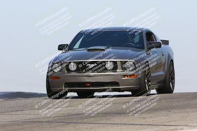 media/Oct-19-2024-Speed Ventures (Sat) [[2b24c230c9]]/Purple/Session 2 (Grapevine)/